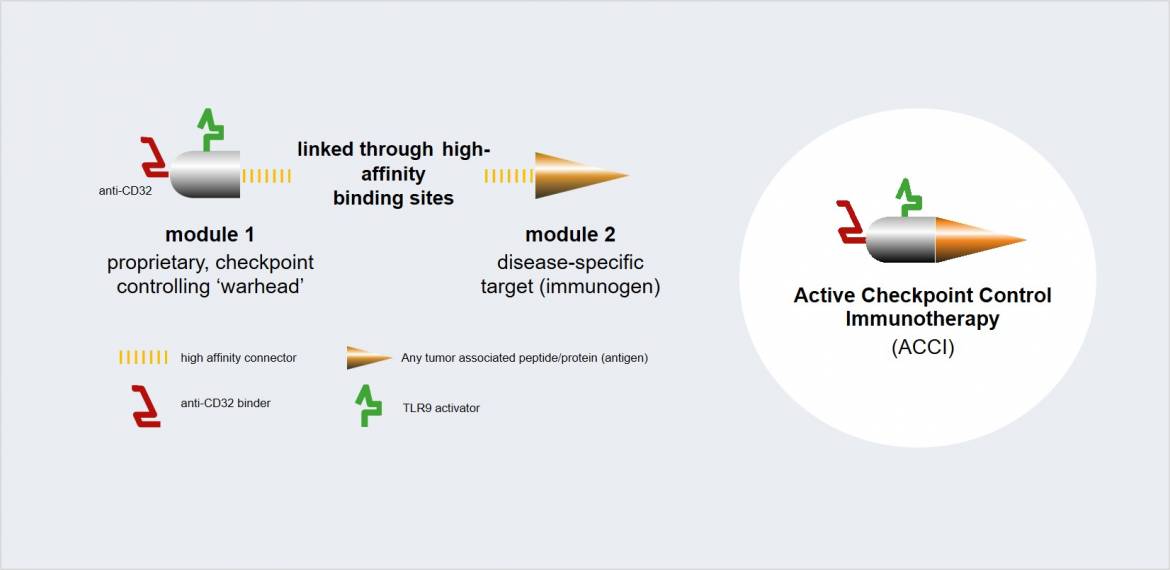 OncoQRML2ModulesWarheadImmunogen.jpg